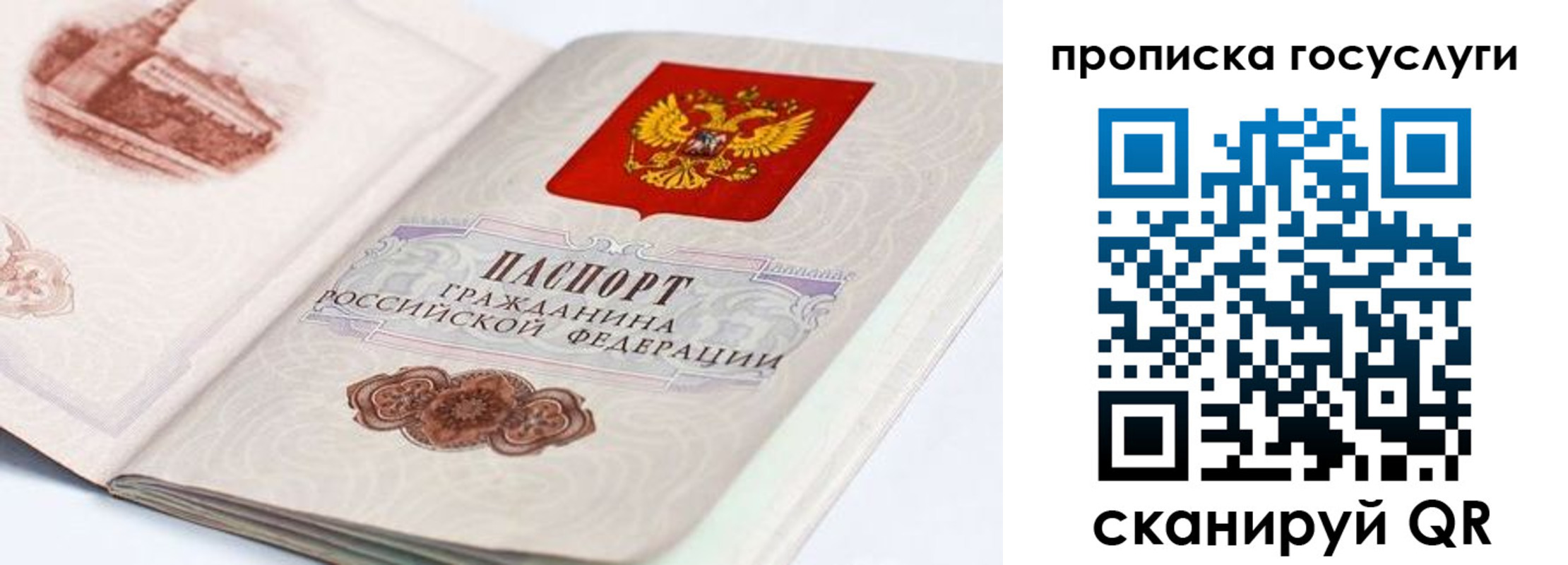 прописка регистрация в Сураже